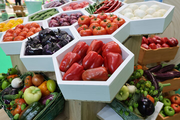 Fresh and appetizing tomatoes,cucumber, onion, eggplant,pepper presented at a vegetable fair.
