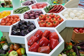 Fresh and appetizing tomatoes,cucumber, onion, eggplant,pepper presented at a vegetable fair.