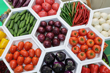 Fresh and appetizing tomatoes,cucumber, onion, eggplant,pepper presented at a vegetable fair.