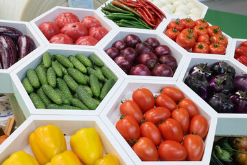 Fresh and appetizing tomatoes,cucumber, onion, eggplant,pepper presented at a vegetable fair.