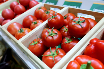 Fresh and appetizing tomatoes presented at a vegetable fair.