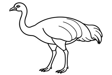 Cassowary Bird Minimalist Silhouette Design