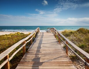 Naklejka premium pathway of wood leading to the sea