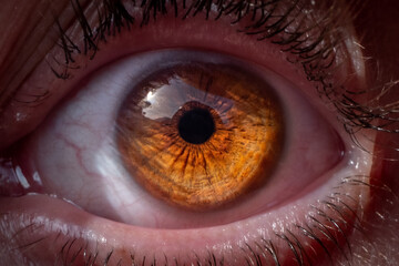 Beautiful female eye in close-up with light brown iris details