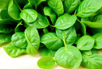 Fototapeta premium Fresh green baby spinach leaves resting on wooden cutting board