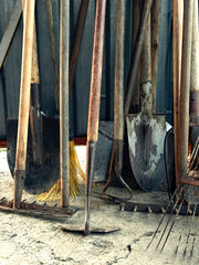 A collection of gardening tools, including shovels, rakes, and brooms, leaning against a wall,...