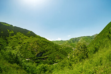 Panoramic view of lush green mountains. From Turkey. Use for themes related to travel and environmental appreciation. © ismailgazel