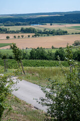 The Palava is a protected landscape area and a UNESCO biosphere reserve located in the South Moravian Region in the Czech Republic, on the border with Austria.