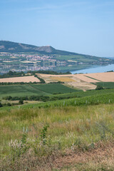 The Palava is a protected landscape area and a UNESCO biosphere reserve located in the South Moravian Region in the Czech Republic, on the border with Austria.
