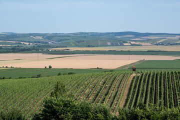The Palava is a protected landscape area and a UNESCO biosphere reserve located in the South Moravian Region in the Czech Republic, on the border with Austria.