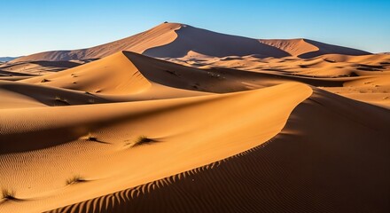 sand dunes in the sahara