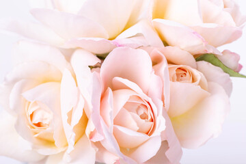 Soft pastel roses in romantic floral banner, luxury elegant floral bouquet for romantic branding, wedding invitations, cosmetic packaging, web design, lifestyle blogs, business cards, wellness project