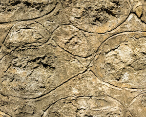 Fototapeta premium Intricate stone wall showcasing natural textures and patterns in bright sunlight