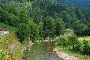 Scenic view of calm river flowing through dense green coniferous forests in the Carpathian...