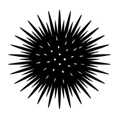 Fototapeta premium sea urchin on white background