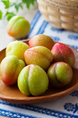 【プラム】真夏に収穫期を迎えるプラム。甘酸っぱいジューシーな果肉を楽しみます。