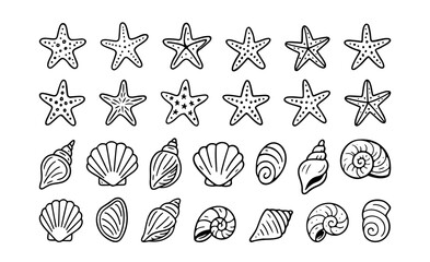 A collection of sea shells and starfishes are displayed in a simple line art style, hand drawn, creating a repeating doodle pattern or background