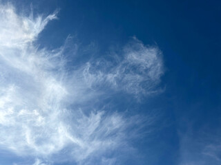 Soft cirrus clouds in blue sky.
