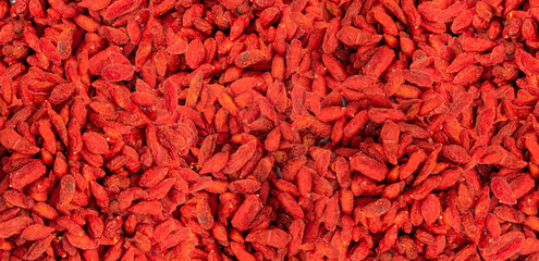 Goji Berry Pattern, Lycium Barbaru, Chinese Wolfberry, Barbary Matrimony Vine Berries