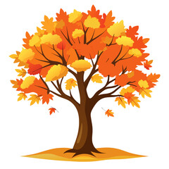 Maple tree in autumn colors