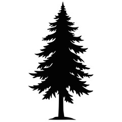 Pine tree or fir tree silhouette


