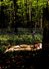 A person's legs are seen lying in a field of bluebells, with blood on their legs.