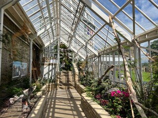 greenhouse with plants