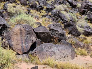 Century-Old Graffiti at Petroglyph National Canyon NM 2020