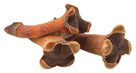 PNG Cloves plant food