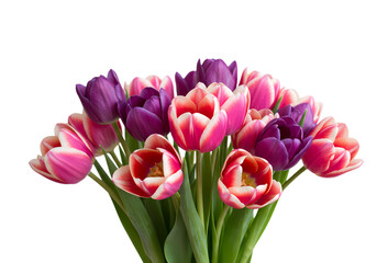 Fototapeta premium Vibrant Bouquet of Pink and Purple Tulips isolated on transparent baackground