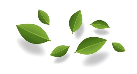 Naklejka premium Vibrant Green Leaves Falling, Isolated on White, Fresh Spring Nature Background, Eco-Friendly Design Element.