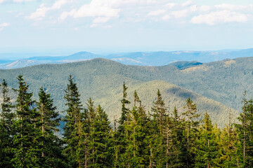 Mountain Carpathians landscape with evergreen trees in a serene setting during daytime