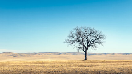 A solitary tree stands against a clear blue sky, surrounded by vast golden fields, exemplifying tranquility and natural beauty.