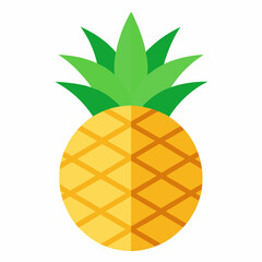 illustration of pineapple