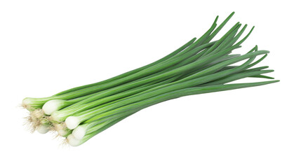 bunch of fresh green onions on white background