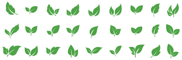 Green leaf icons set. Leaves icon set. Collection green leaf. Elements design for natural, eco, vegan, bio labels. Flat Green Leaf Icon Set, Eco, Bio, Vegan Symbols for Nature and Organic Design. 