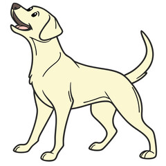 White Labrador Dog - Loyal Pet Illustration