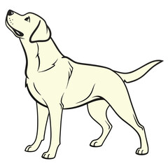 White Labrador Dog - Loyal Pet Illustration