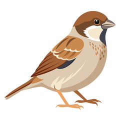 Isolated brown quail or blackbird on a branch with detailed feathers and a striking beak, perfect for nature and wildlife themes