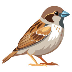 Isolated brown quail or blackbird on a branch with detailed feathers and a striking beak, perfect for nature and wildlife themes