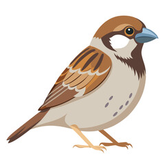Isolated brown quail or blackbird on a branch with detailed feathers and a striking beak, perfect for nature and wildlife themes