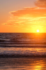 Fototapeta premium sunset over the sea