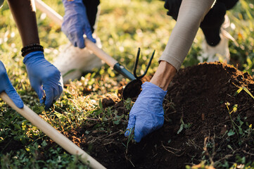 Gardeners removing weed from soil using garden hoes