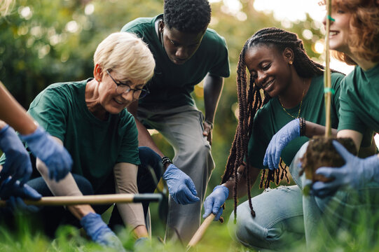 Group of volunteers planting trees in the park