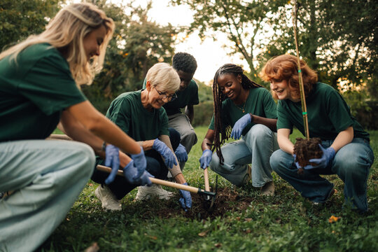 Group of volunteers planting a tree in the park