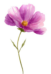 PNG A purple pink and gold wildflower illustration watercolor design.