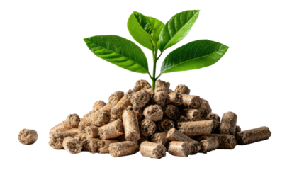 Sustainable Energy: A small green plant sprout emerges from a pile of wood pellets, symbolizing renewable energy and sustainable growth.