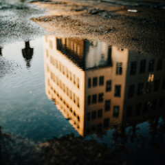 Reflection in the water