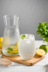 Lemonade with lemons, limes and fresh mint. Homemade lemonade summer drink