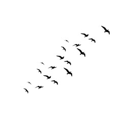 Flock of Flying Birds Silhouette Vector Set for Tattoos and Nature Art